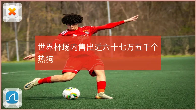 世界杯场内售出近六十七万五千个热狗