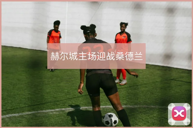 赫尔城主场迎战桑德兰