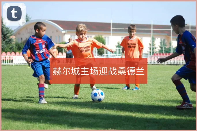 赫尔城主场迎战桑德兰