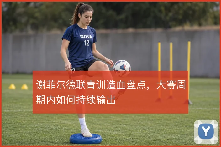 谢菲尔德联青训造血盘点，大赛周期内如何持续输出
