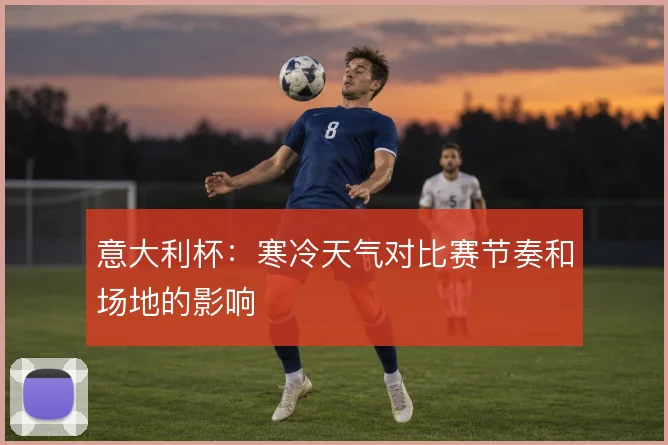 意大利杯：寒冷天气对比赛节奏和场地的影响